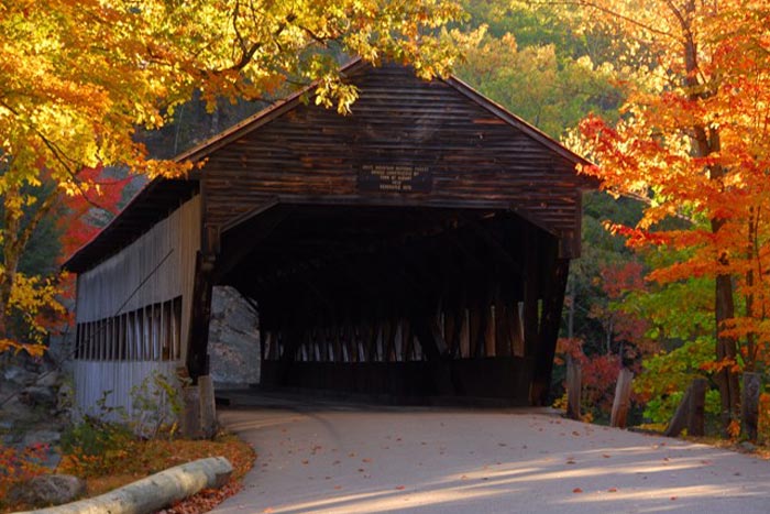 covered bridge under fall foliage