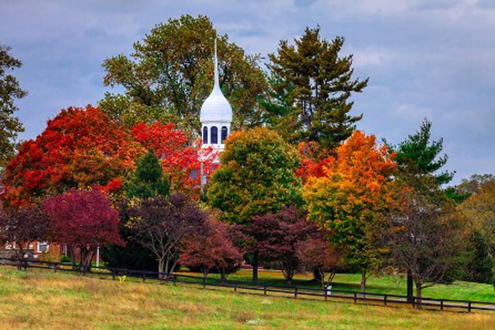 view of fall foliage